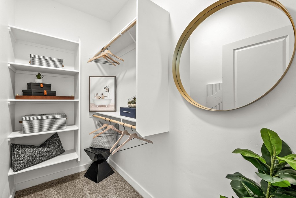 A white closet with a mirror and a plant.