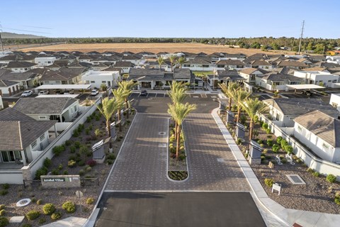 A residential area with houses and palm trees.