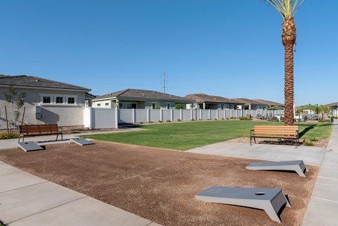 A park with a palm tree and benches in front of a building.