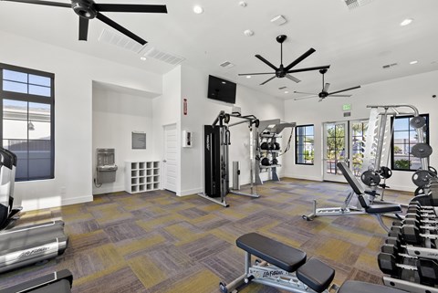 A spacious gym with a variety of equipment including treadmills, weights, and exercise machines.