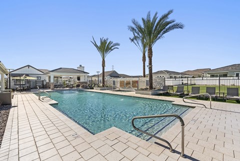 A pool surrounded by palm trees and a fence.