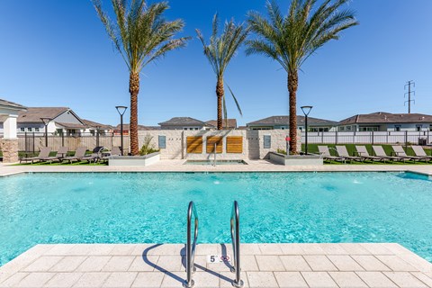 A pool surrounded by palm trees and lounge chairs.