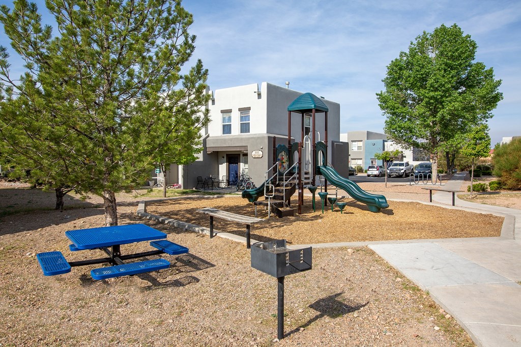 BBQ Grill and Playground Area at The Bluffs at Tierra Contenta Apartments