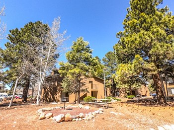 BBQ Grill area at University West Apartments in Flagstaff AZ 2021 - Photo Gallery 13