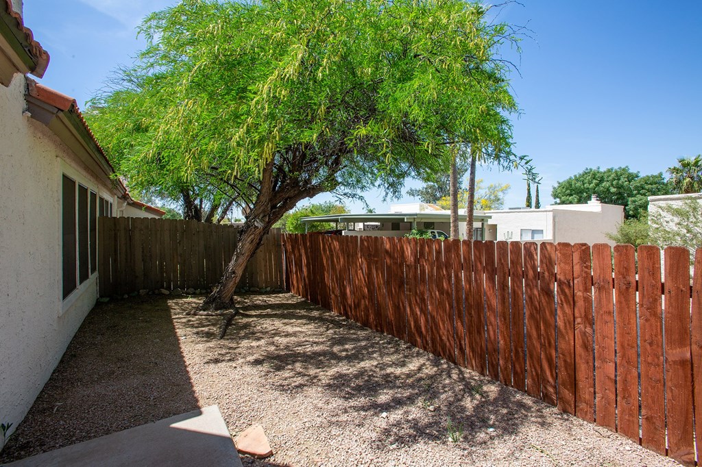 Backyard at Orange Tree Village Apartments in Tucson AZ