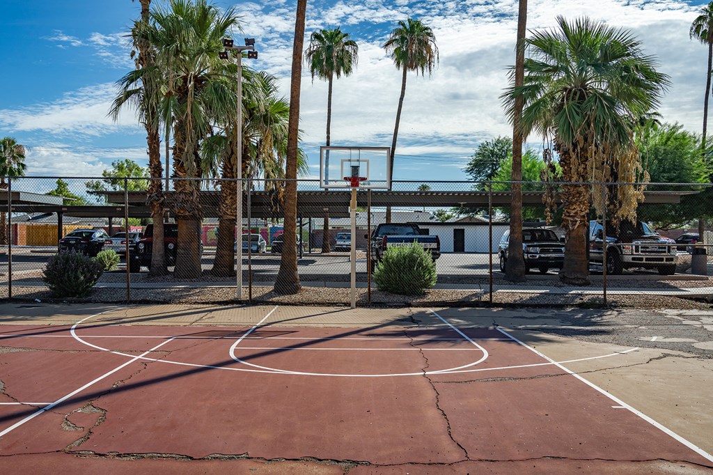 Basketball Court at Polanco Apartments