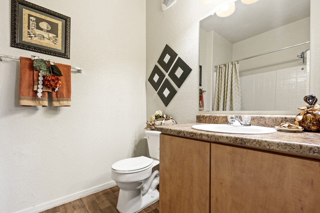 Bathroom (3) at La Borgata in Surprise AZ Feb 2020