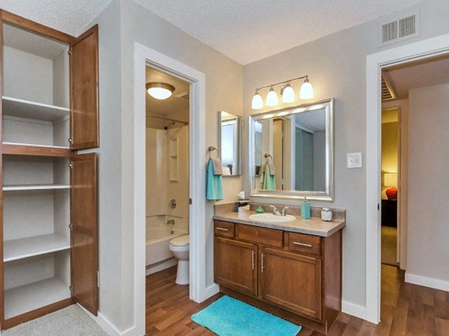 Bathroom Vanity at Olive East Apartment
