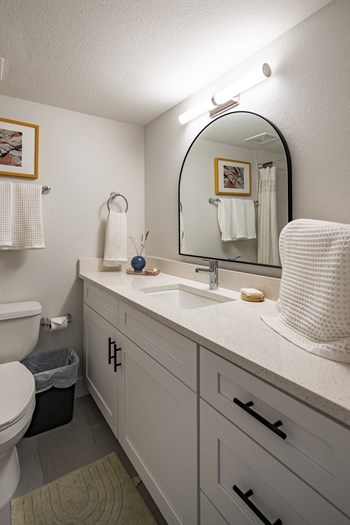 Bathroom Vanity at Polanco Apartments - Photo Gallery 12