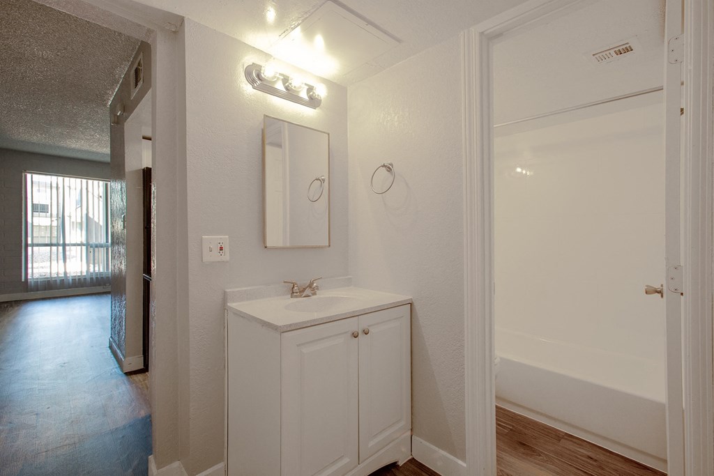 Bathroom Vanity in One Bedroom Unit at Radius