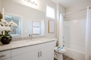 Bathroom Vanity at The Carson Townhome Apartments - Photo Gallery 33
