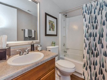 Bathroom at Olive East Apartments - Photo Gallery 9