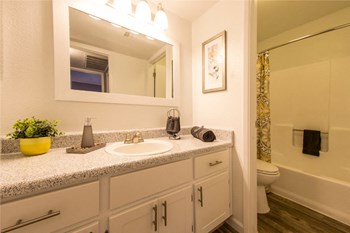 Bathroom at River Oaks Apartments in Tucson, AZ - Photo Gallery 10