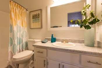 Bathroom at River Oaks Apartments in Tucson, AZ - Photo Gallery 14