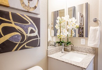 Bathroom at The Carson Townhome Apartments - Photo Gallery 15
