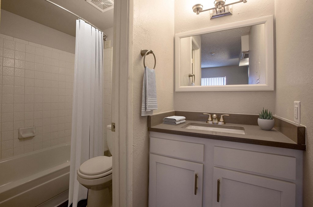 Bathroom at The Link at 4th Ave Apartments