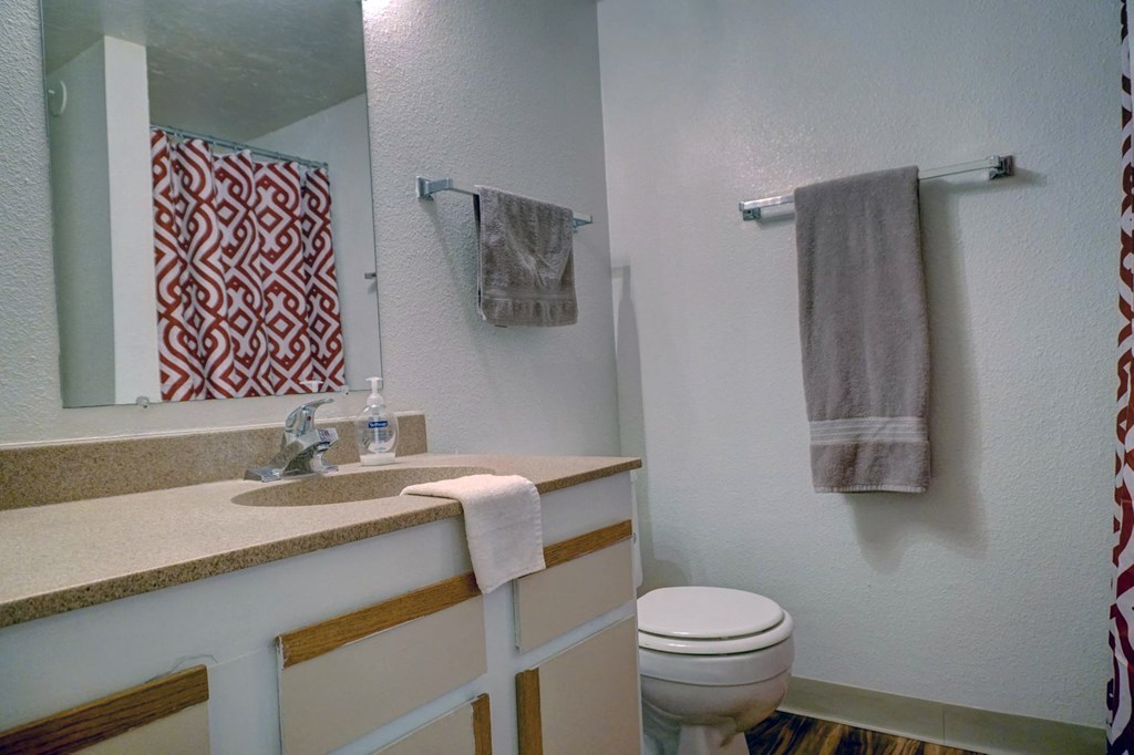 Bathroom at The View At Catalina Apartments in Tucson, AZ