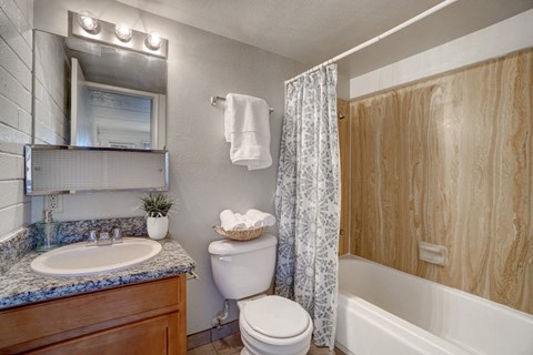 Bathroom at University Manor Apartments in Tucson, AZ