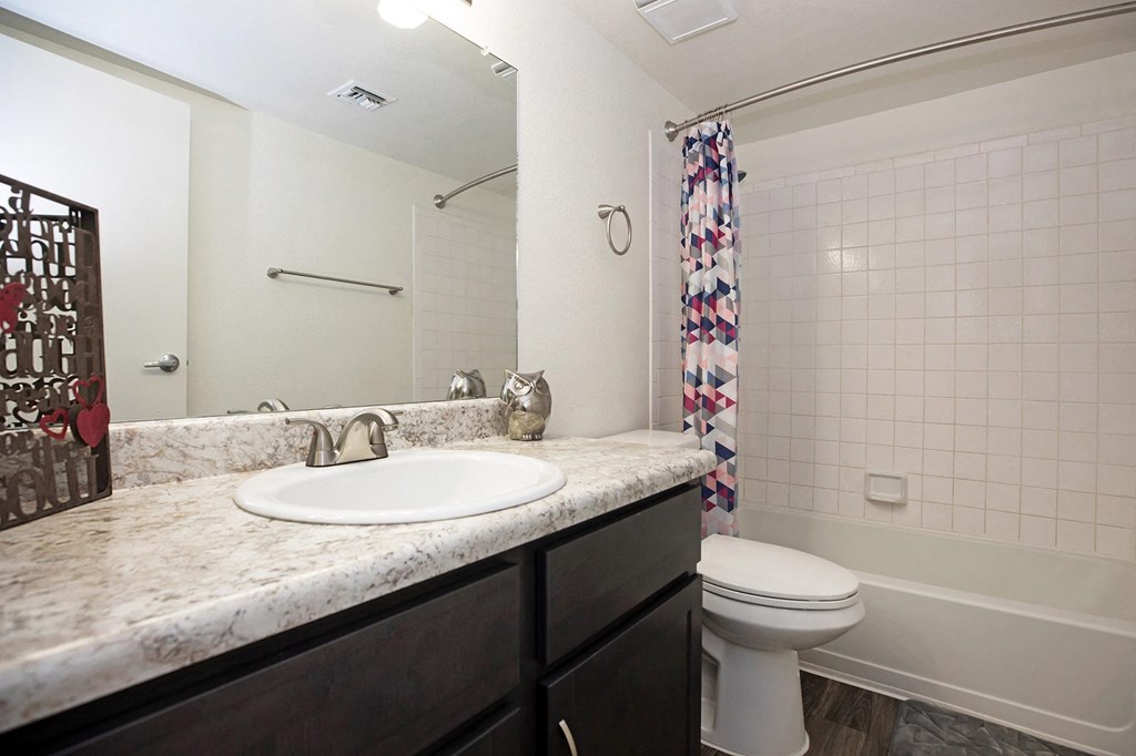 Bathroom at Winterhaven Terrace Apartments in Tucson Arizona