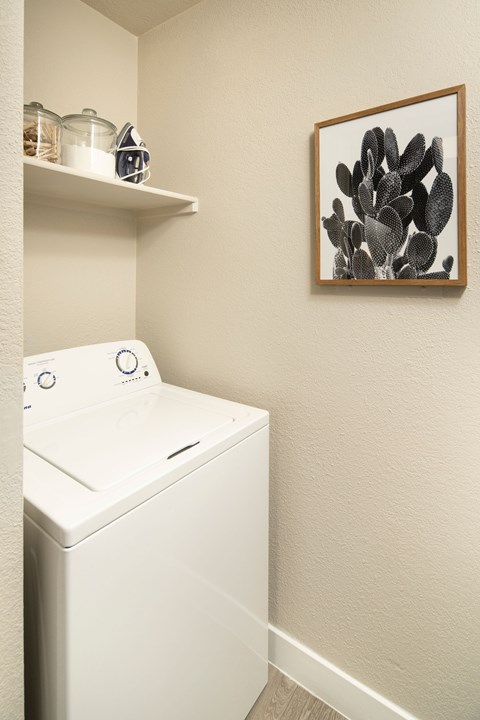 A white washing machine in a laundry room with a picture on the wall.