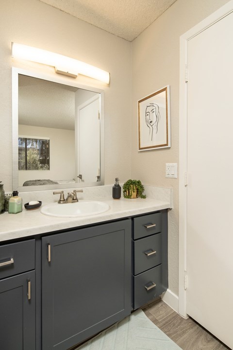A bathroom with a white sink and a mirror above it.