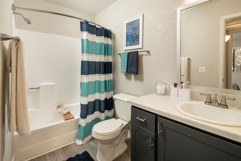 A bathroom with a toilet, sink, and shower.