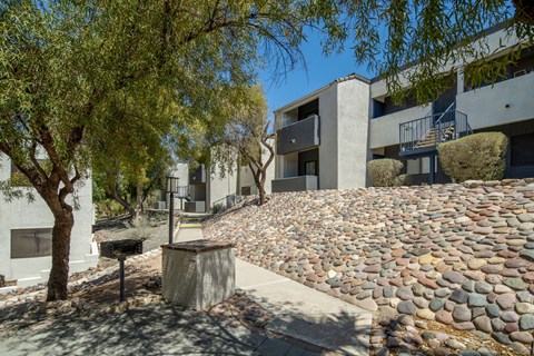 A tree is next to a mailbox on a stone path.