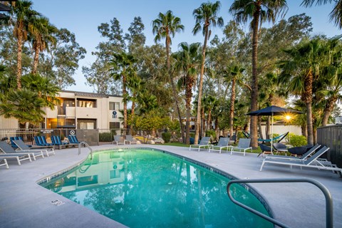 A pool surrounded by palm trees and lounge chairs.