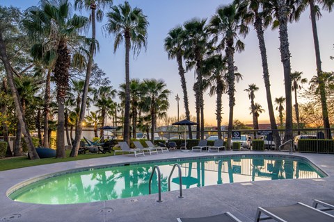 A pool surrounded by palm trees at sunset.