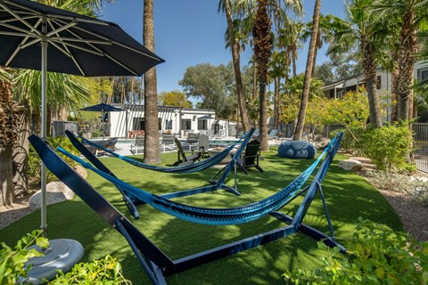 A blue hammock is strung between two trees in a sunny backyard.