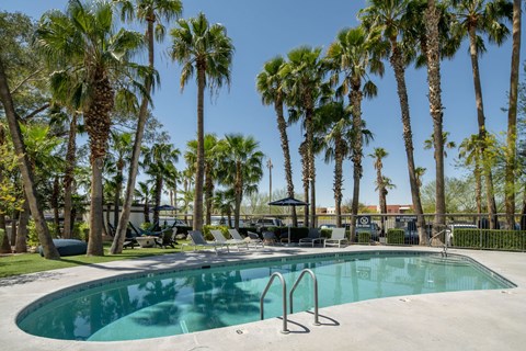 A pool surrounded by palm trees under a clear blue sky.