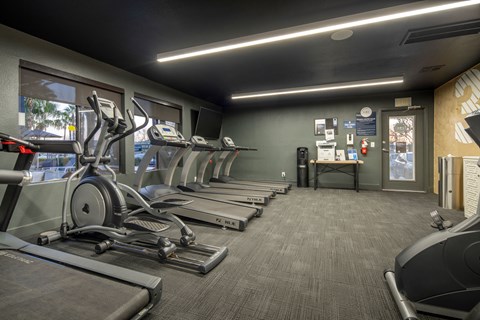 A gym with treadmills and elliptical machines.