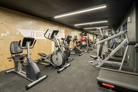 A gym with a variety of exercise equipment including treadmills, stationary bikes, and weight machines.
