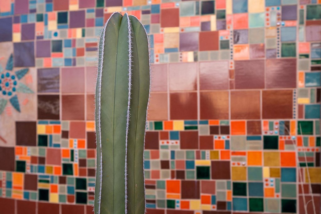 Community Art at Avilla Preserve Apartment Homes in Tucson Arizona