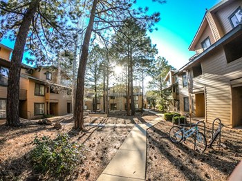 Courtyard at University West Apartments in Flagstaff AZ 2021 - Photo Gallery 16