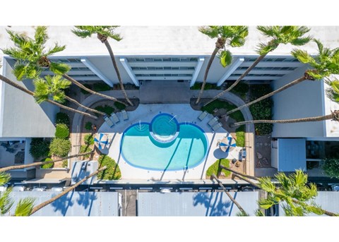 A swimming pool surrounded by trees and a white wall.