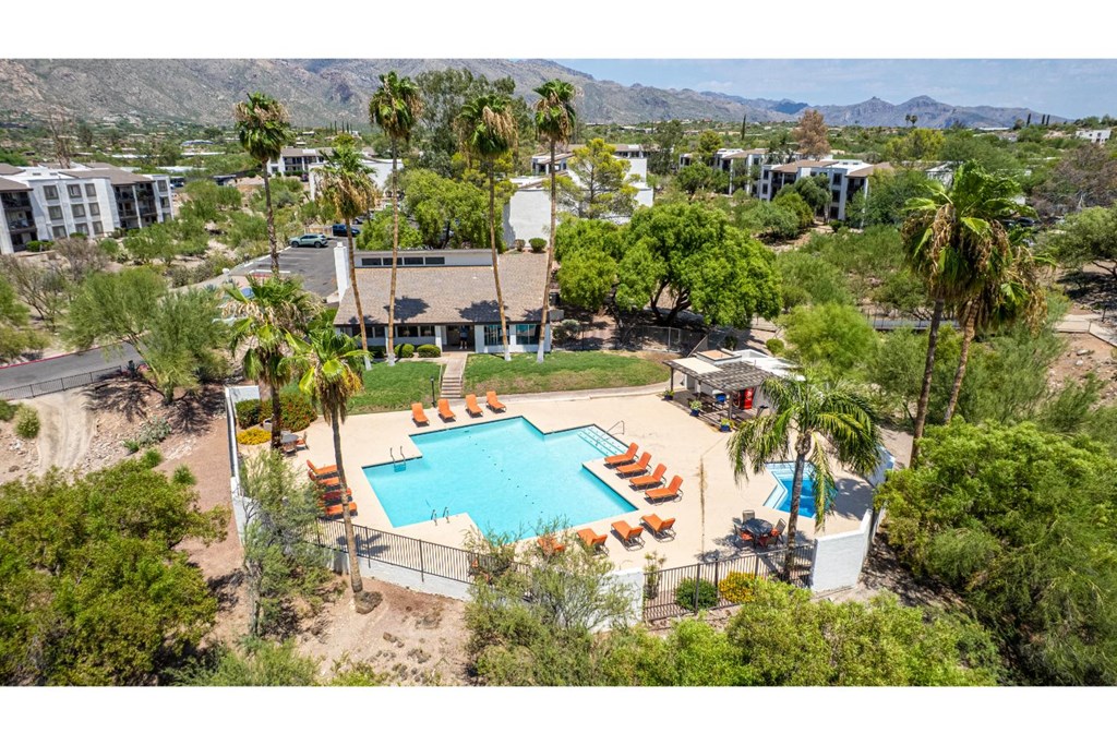 A pool surrounded by palm trees and orange lounge chairs.