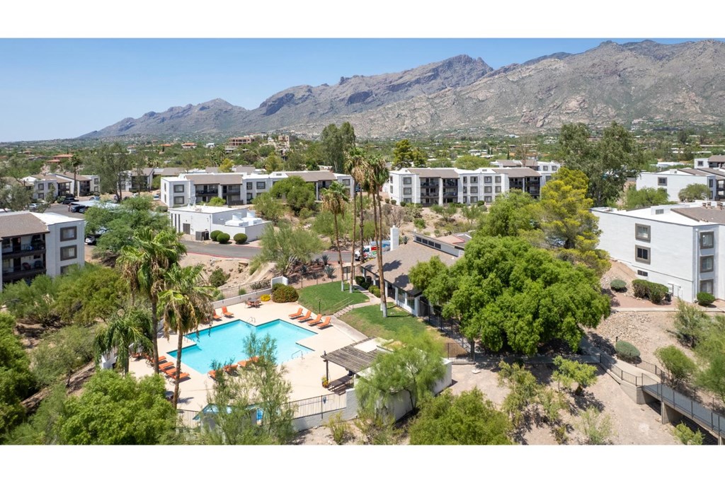 A large swimming pool is surrounded by palm trees and apartment buildings.