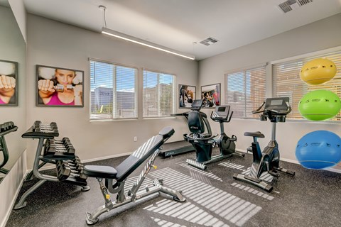 A well-equipped gym with a variety of exercise machines and fitness balls.