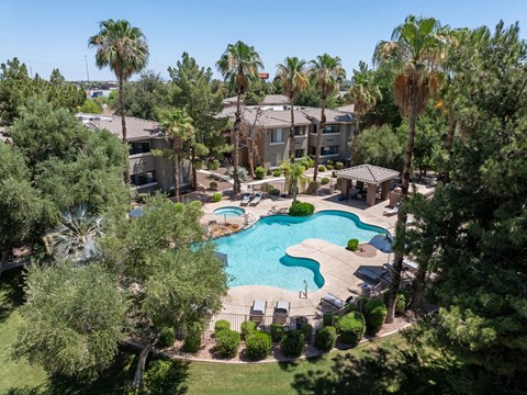 A swimming pool surrounded by palm trees and apartment buildings.
