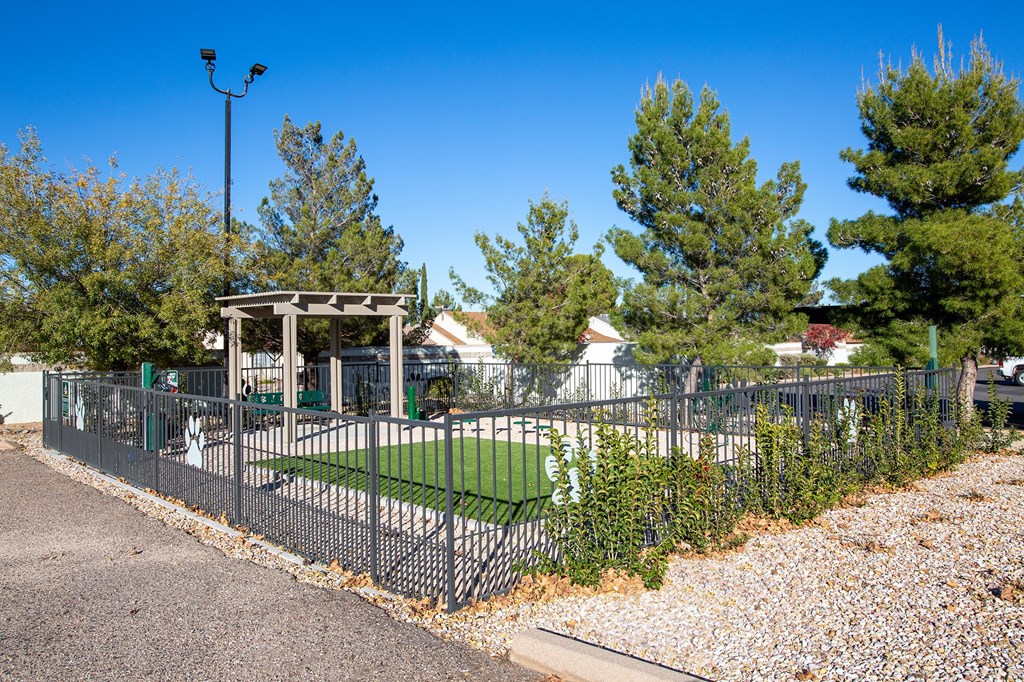 Dog Park at Sky Island