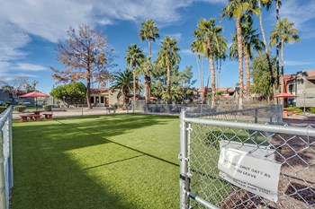 Enclosed Dog park at Ovation at Tempe Apartments - Photo Gallery 10