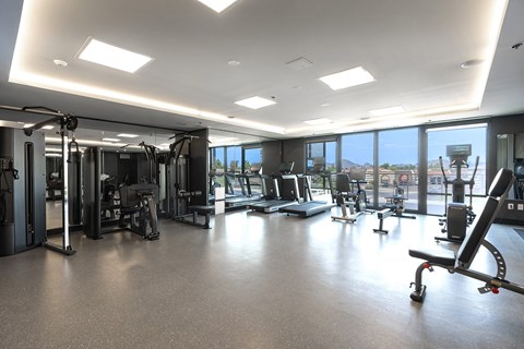 A spacious gym with various exercise equipment and a view of the city outside the windows.