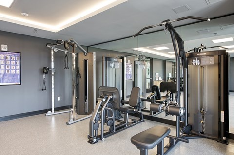 A gym with a variety of equipment including a squat rack, a leg press machine, and a bench.