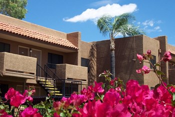 Exterior of La lOmita Apartments in Tucson Arizona 7 2021 - Photo Gallery 2