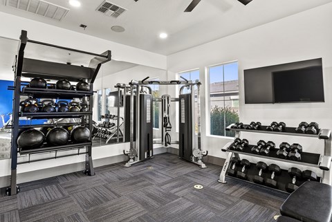 A well-equipped gym with a variety of exercise equipment.