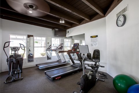 A gym with treadmills, elliptical machines, and a stationary bike.