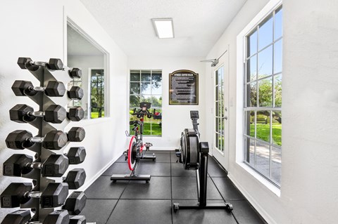 A gym with a row of dumbbells on the wall and a row of weight plates on the floor.