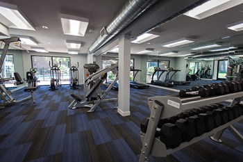 Fitness Center at La Costa at Dobson Ranch - Photo Gallery 30