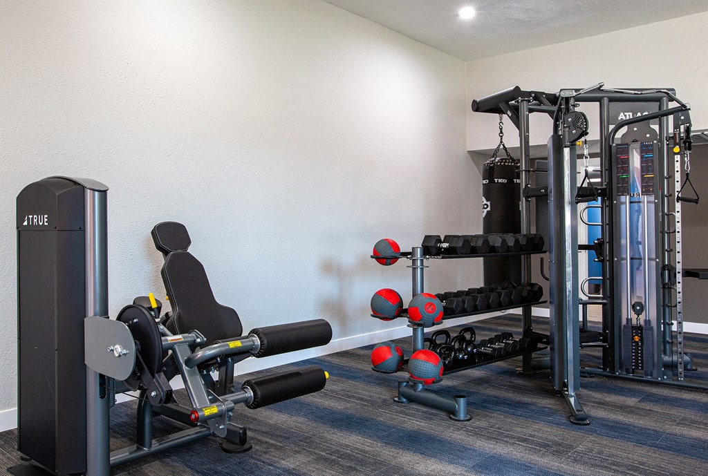 Fitness Equipment at Avani North Apartments